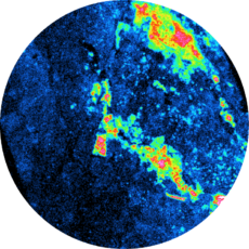 Presentation of a Real-time alpha autoradiography on Uraninite rock. Particularly used on geoscience field and mining field